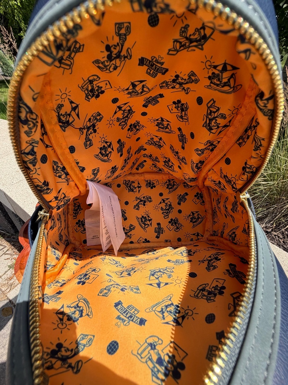 Loungefly Disney Vacation Club DVC 30th Anniversary Backpack EUC - Picture 6 of 16